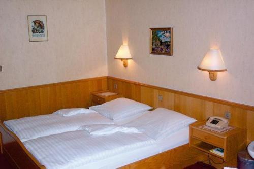 Hotel Waldesruh Georgsmarienhütte Pokój zdjęcie